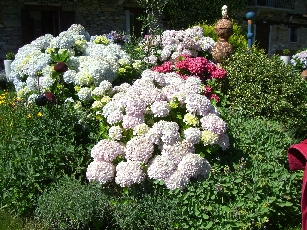 Garten3