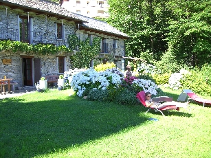 Garten4