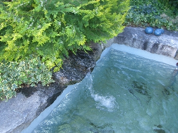 Pool1
