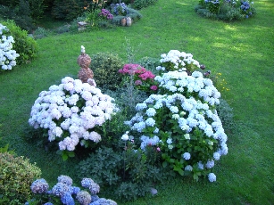 Garten5