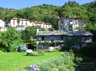 Garten6